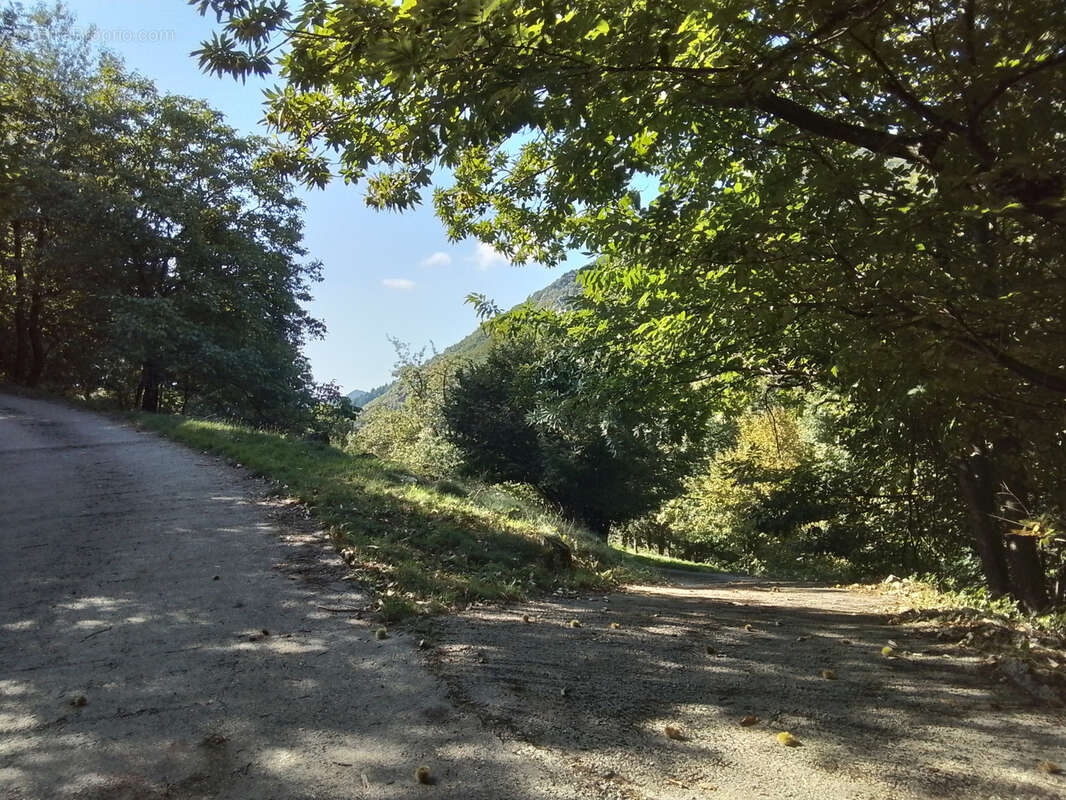 Maison à ANTRAIGUES-SUR-VOLANE
