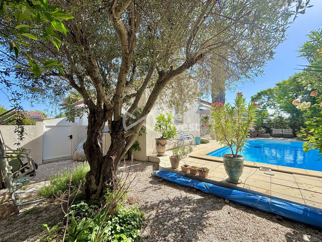 Maison à VENDARGUES