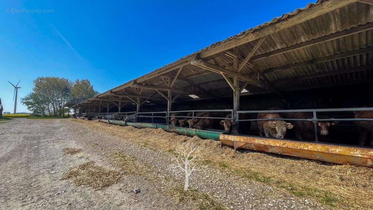 Maison à VEULETTES-SUR-MER