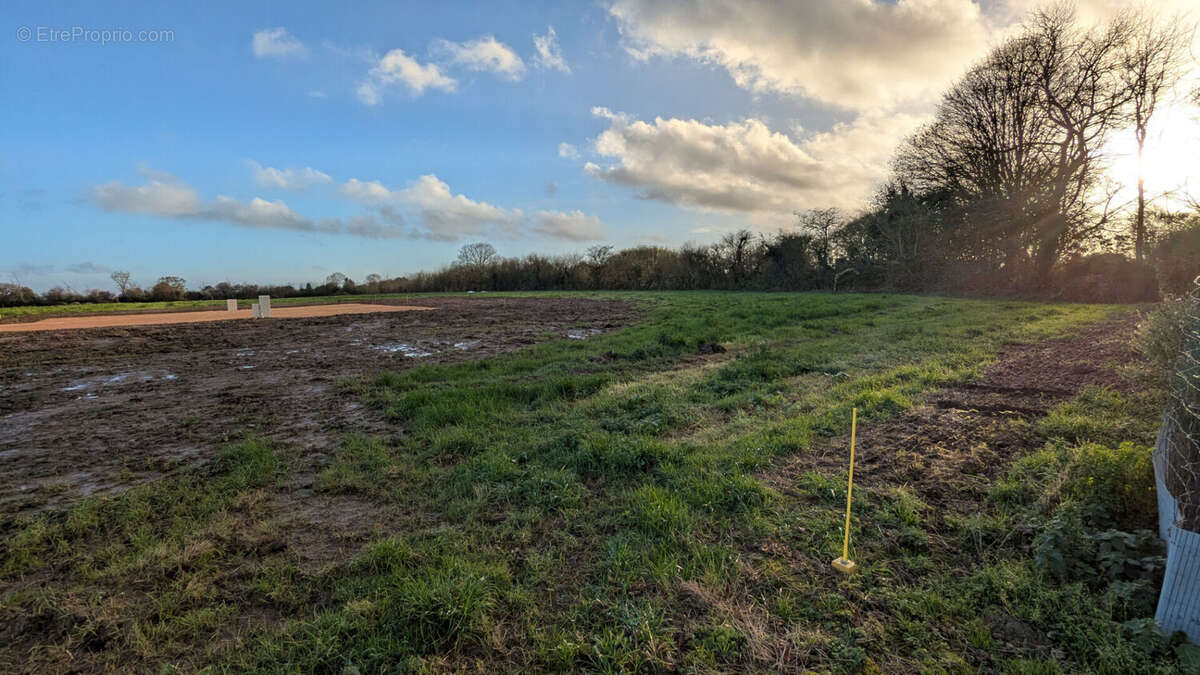 Terrain à FONTENAY-SUR-MER