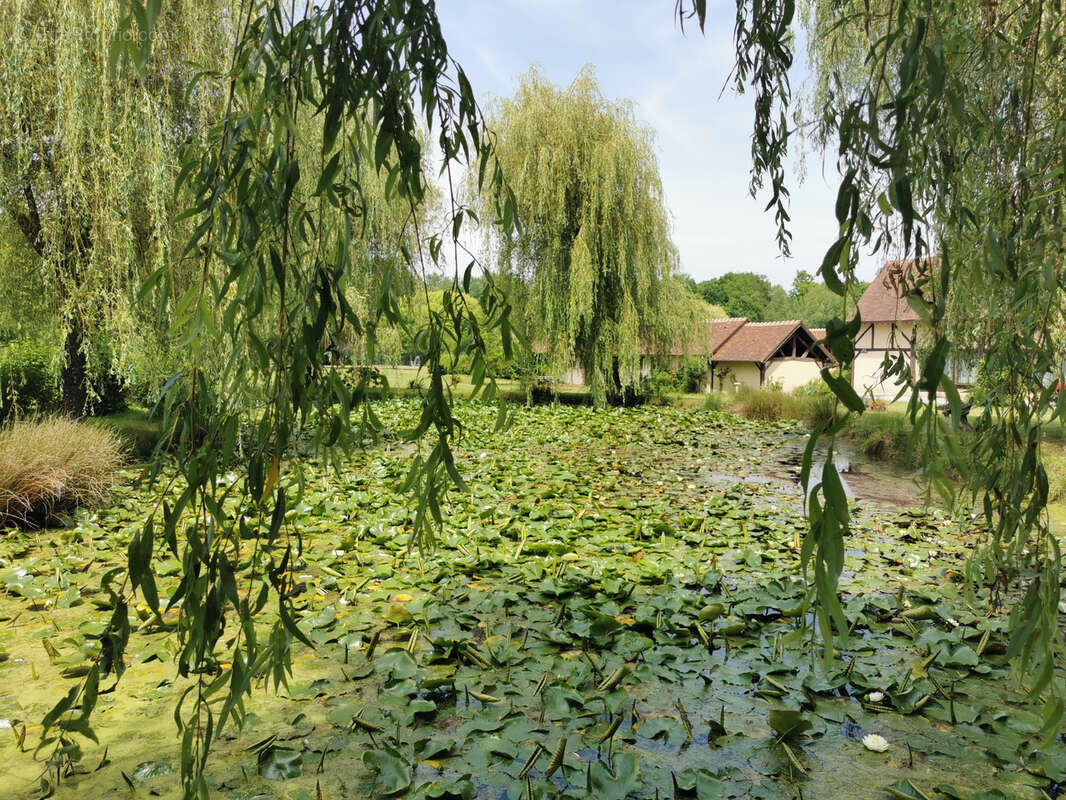 Superbe propriété avec étang sur 51ha - photo 6