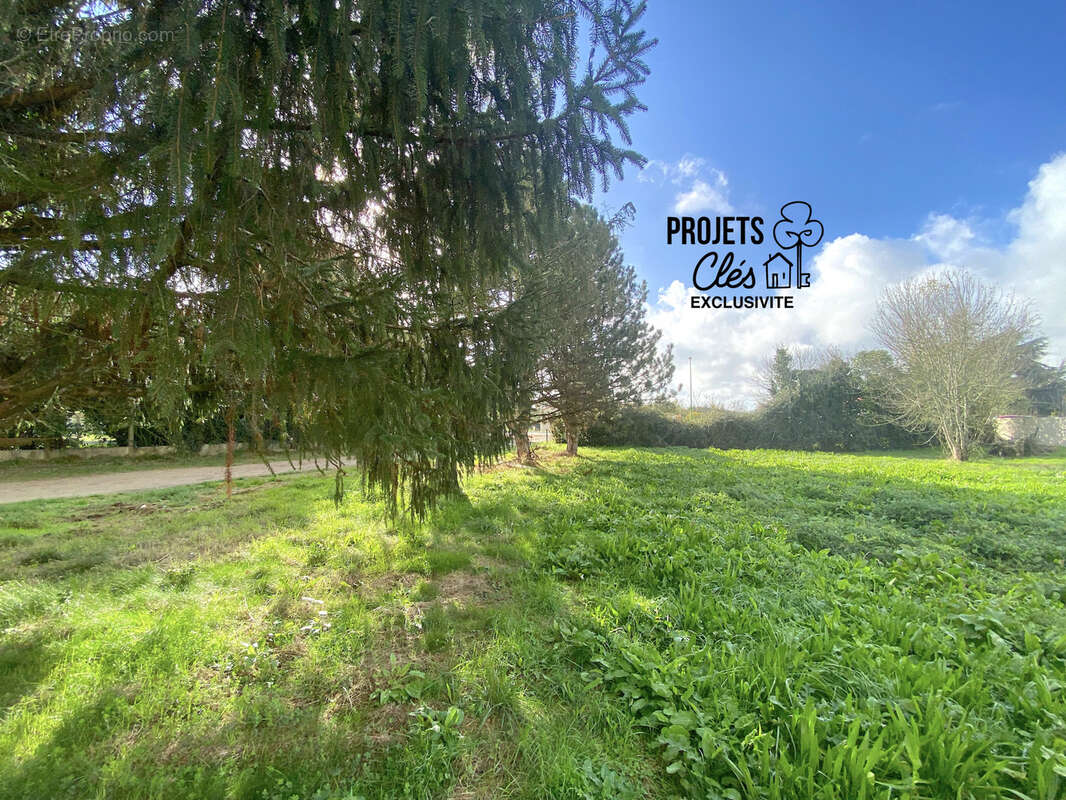Terrain constructible de 348m2 centre-ville - photo 7
