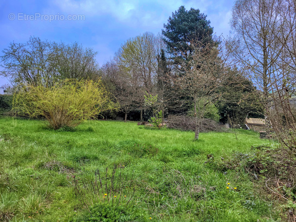 Terrain à DOMART-EN-PONTHIEU