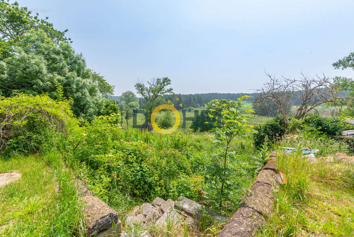Charmante maison avec jardin arboré et dépendance - photo 5