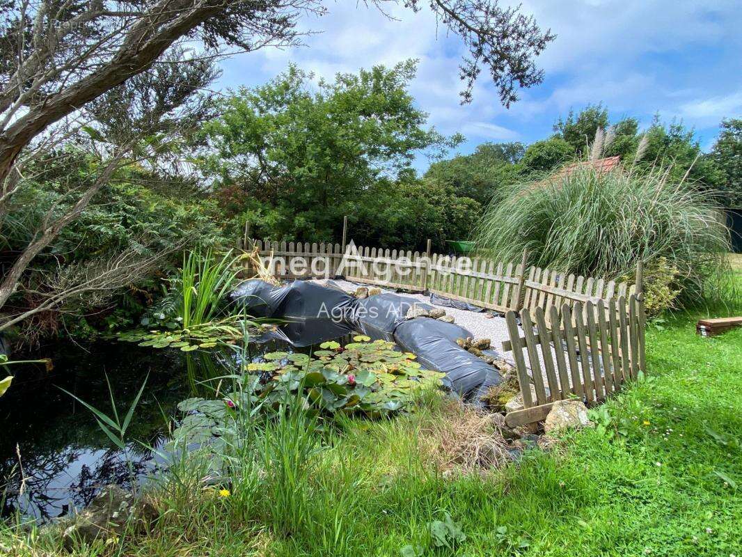 Maison à COSQUEVILLE