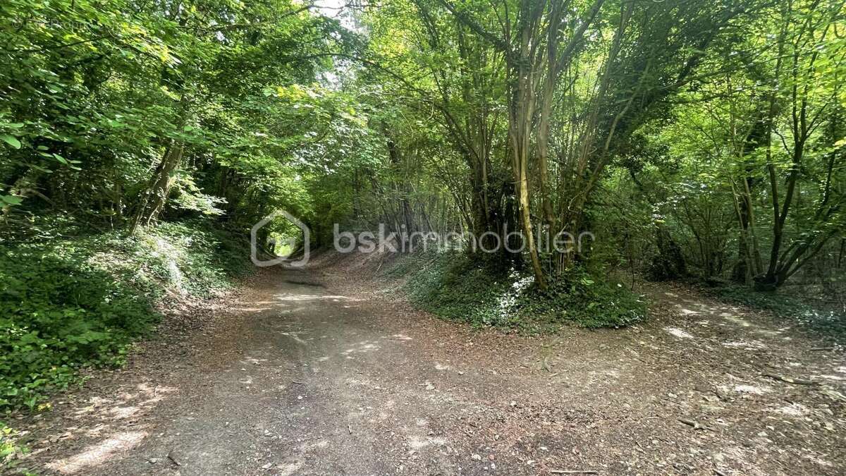 Terrain à ULLY-SAINT-GEORGES