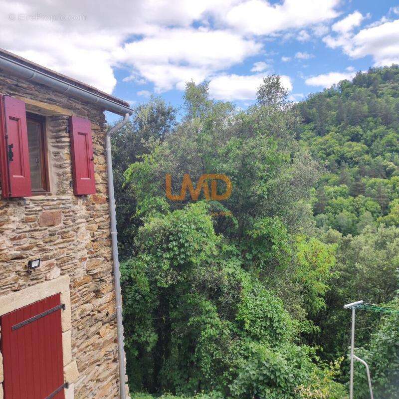 Mas en Cévennes - photo 13
