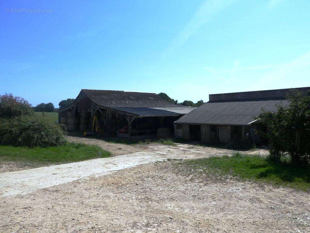 Exploitation agricole - photo 17
