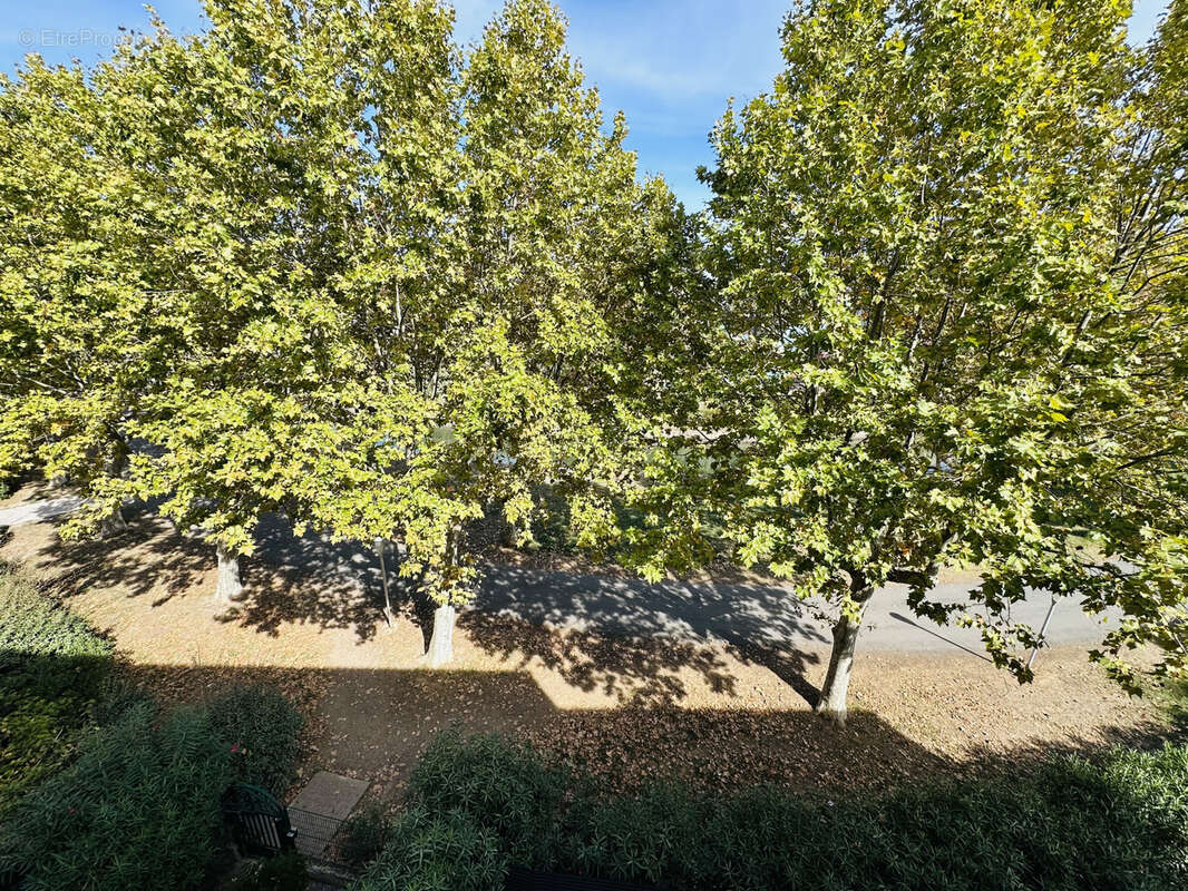 Appartement t3 duplex - photo 11