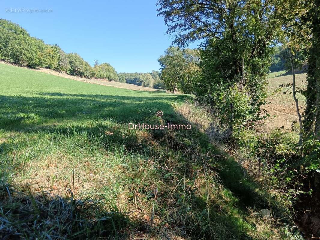 Terrain 14950 m² à Colayrac-Saint-Cirq  - photo 26