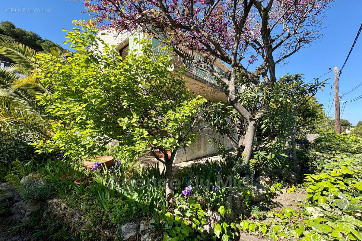 Maison à LEUCATE