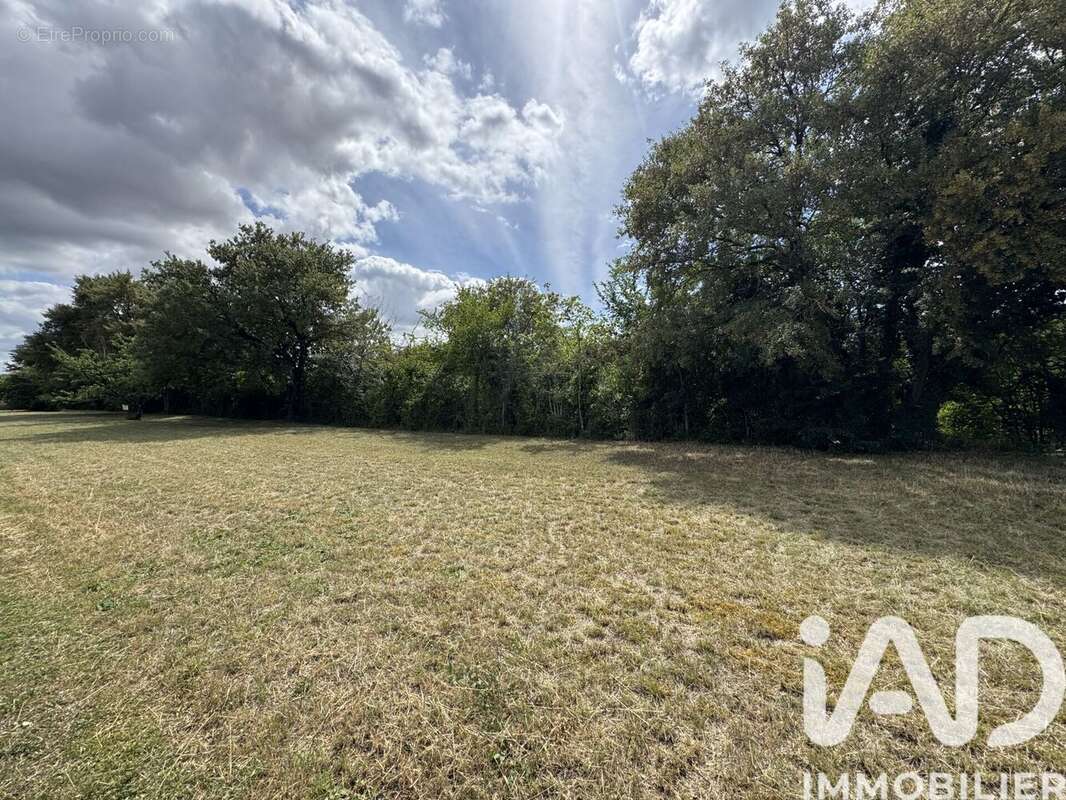 Terrain 1000 m² à Fors  - photo 4