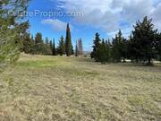 Terrain à LE TRIADOU