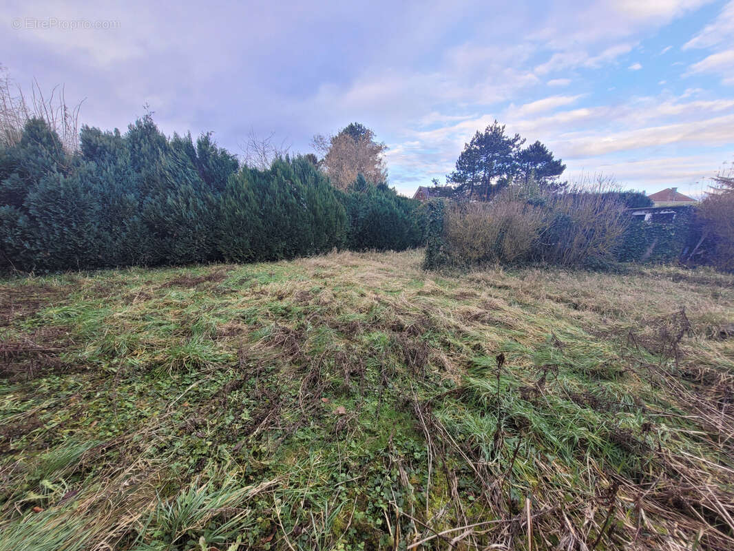 Maison à NOEUX-LES-MINES