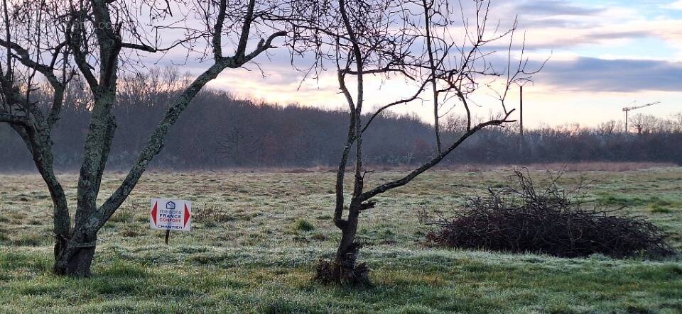Terrain à FONTENILLES