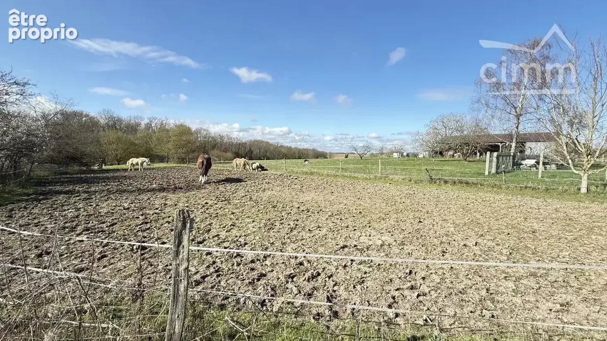 Authentique maison en pierre - 121 m² - Jardin - Dépendances - 20 min de Blois - photo 10