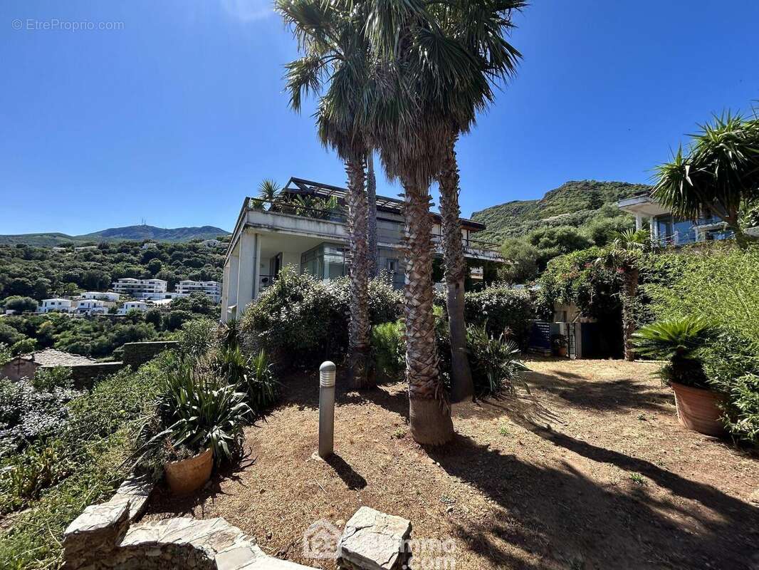 Un jardin de 290 m2 - Appartement à SAN-MARTINO-DI-LOTA