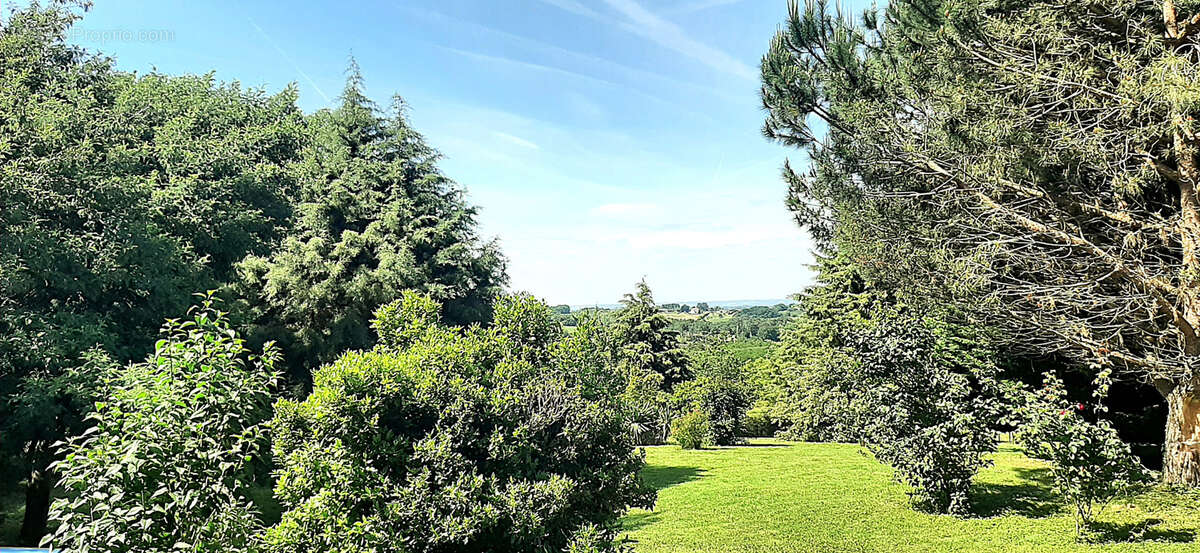 Maison à CASTELJALOUX