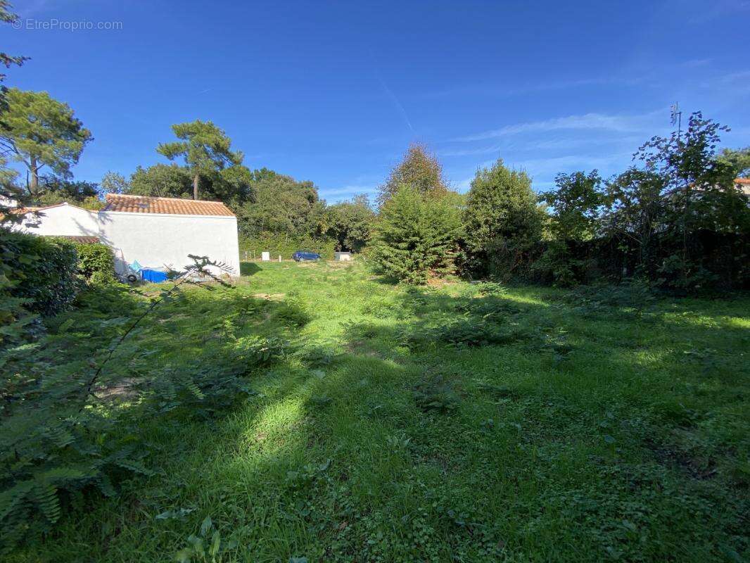 Terrain à LONGEVILLE-SUR-MER