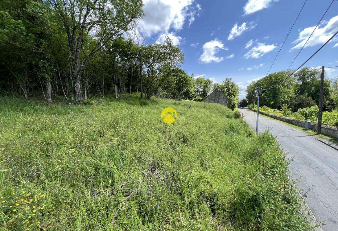 Terrain à CHATEAUNEUF-SUR-CHER