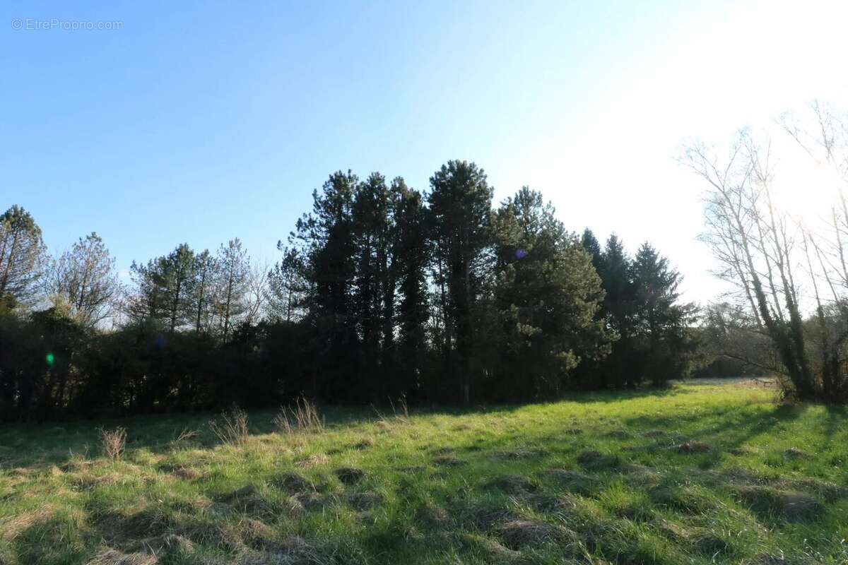 Maison à LA GUERCHE-SUR-L&#039;AUBOIS