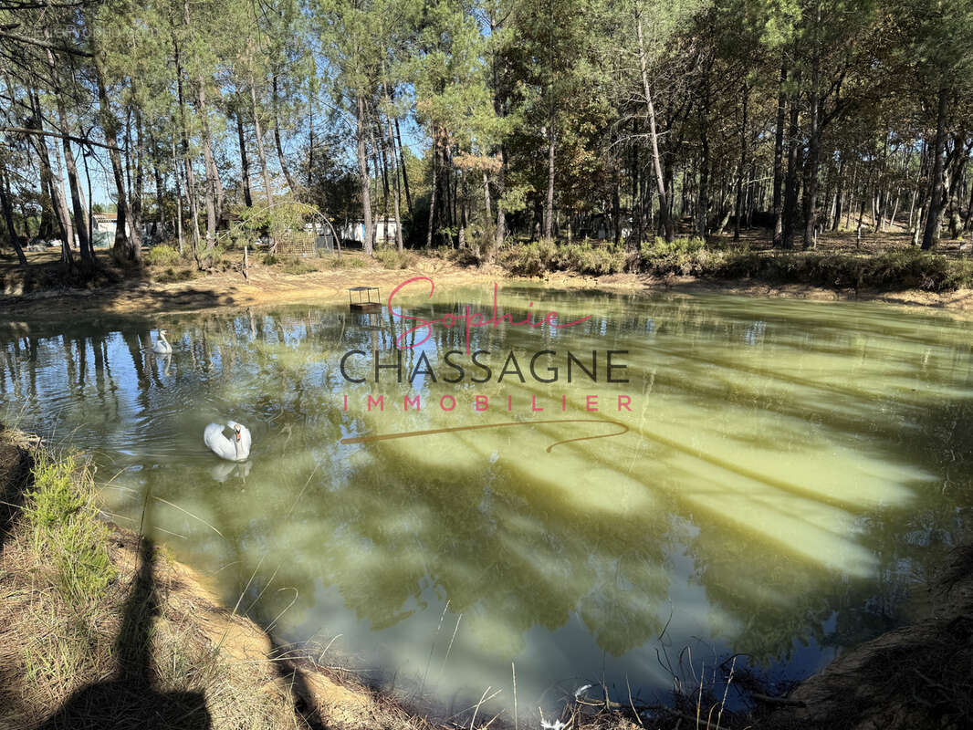 À 30 minutes de Bordeaux et 45 minutes d’Arcachon, domaine avec 2 étangs sur 15 hectares - photo 7
