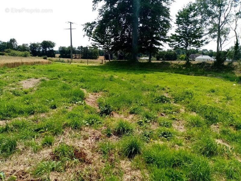 Terrain à AUTRETOT