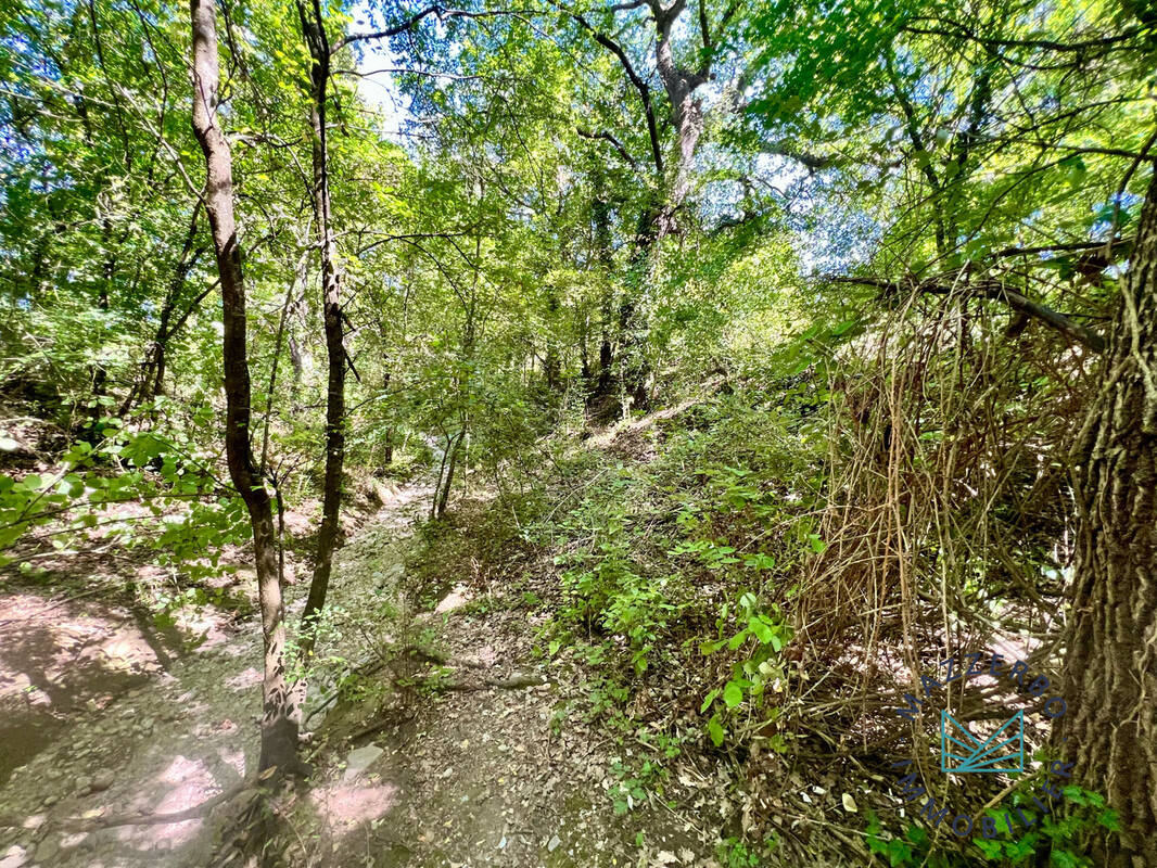 Terrain à LA DESTROUSSE