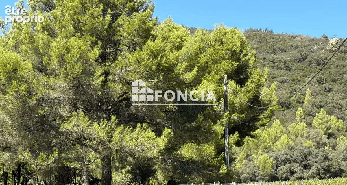  hyères – les borrels 3 ensemble foncier de 57 000 m² – plusieurs parcelles - photo 2