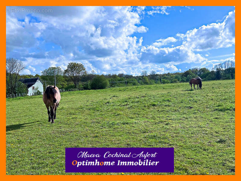 Maison à LE MELE-SUR-SARTHE
