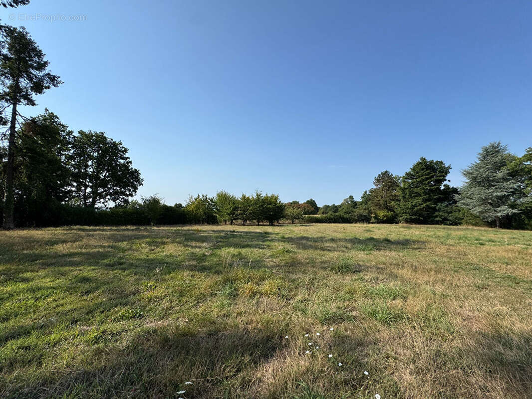 Maison à MARTIGNE-SUR-MAYENNE