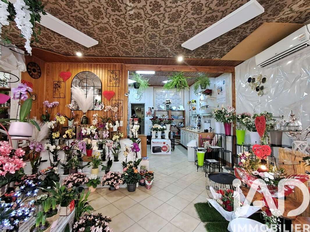 Photo 6 - Appartement à BRIENON-SUR-ARMANCON