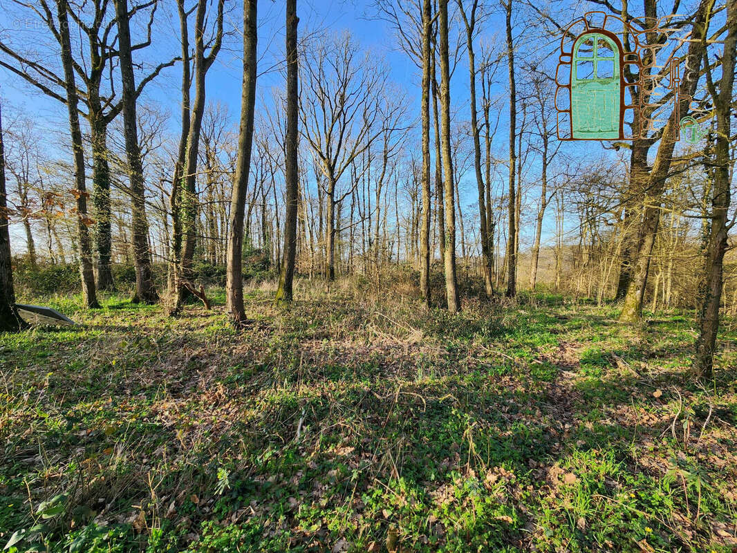 Maison 69 m² à Sarge-Sur-Braye  - photo 9