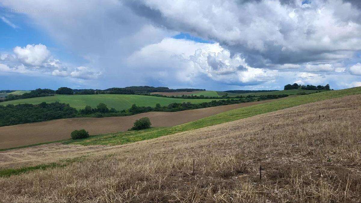 Terrain à BEAUMONT-DE-LOMAGNE