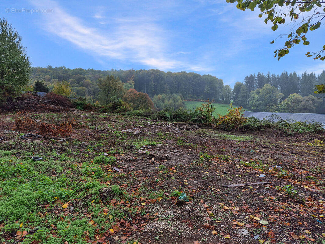 Terrain à CHAMBERET