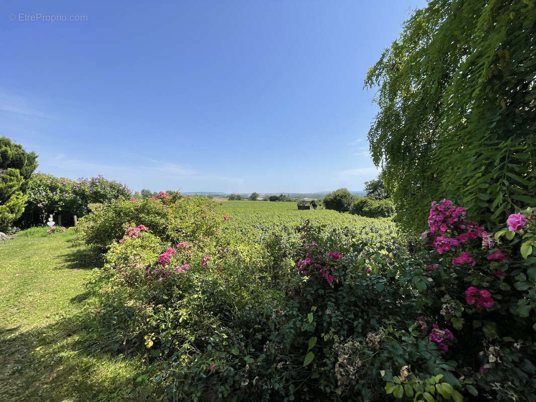 Maison à SAINT-THIERRY