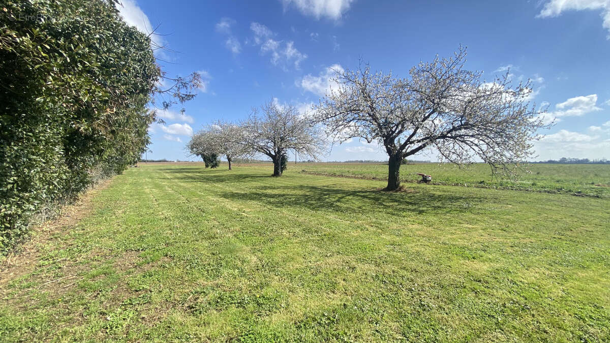 Maison à CHAMPAGNOLLES