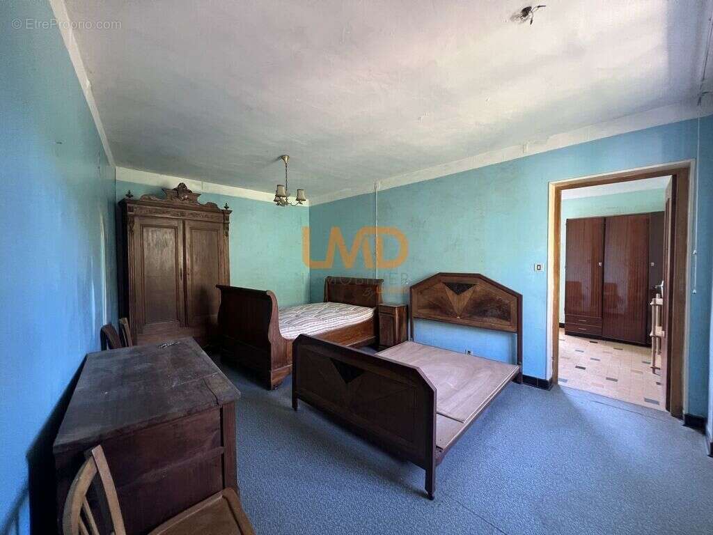Maison en pierre à rénover avec caves à Mercuer - photo 12