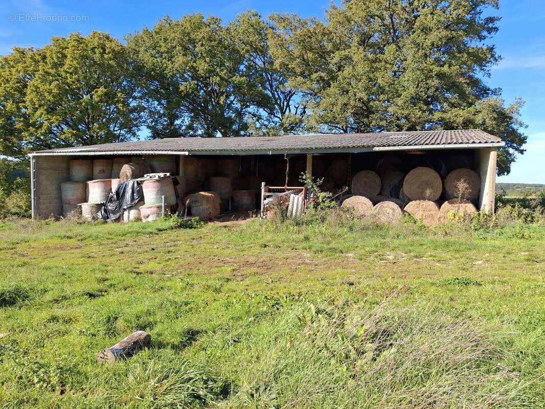 Propriété historique avec dépendances et 31 hectares de terrain - photo 10