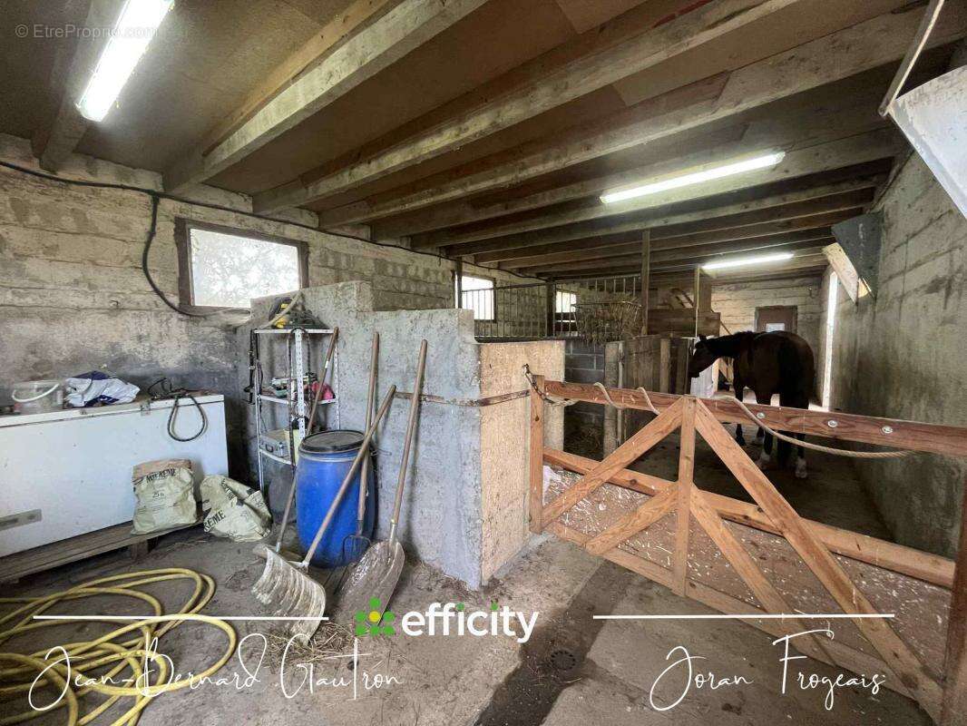 Maison à SAINT-JUDOCE