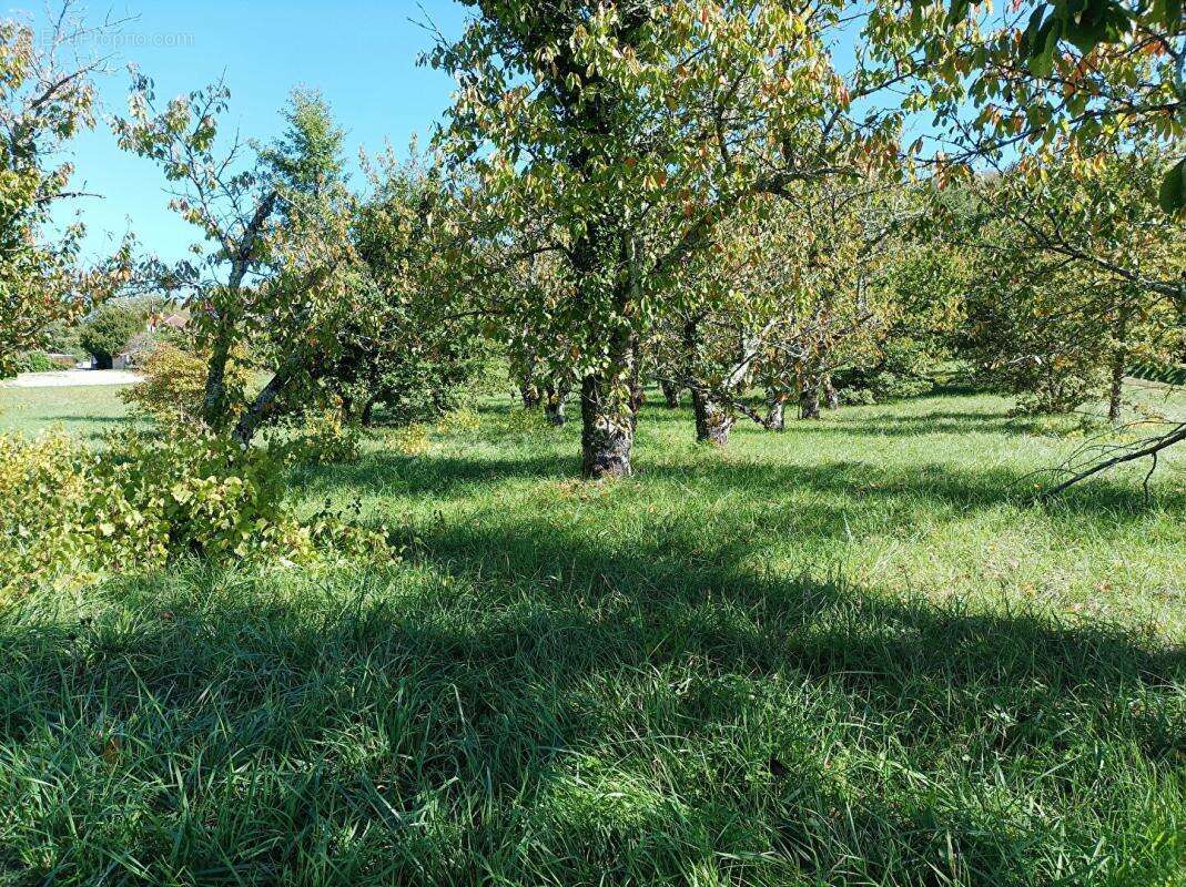 LUZECH .Terrain constructible à vendre - photo 4