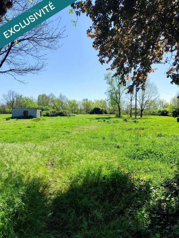 Photo 6 - Terrain à CASTELSARRASIN