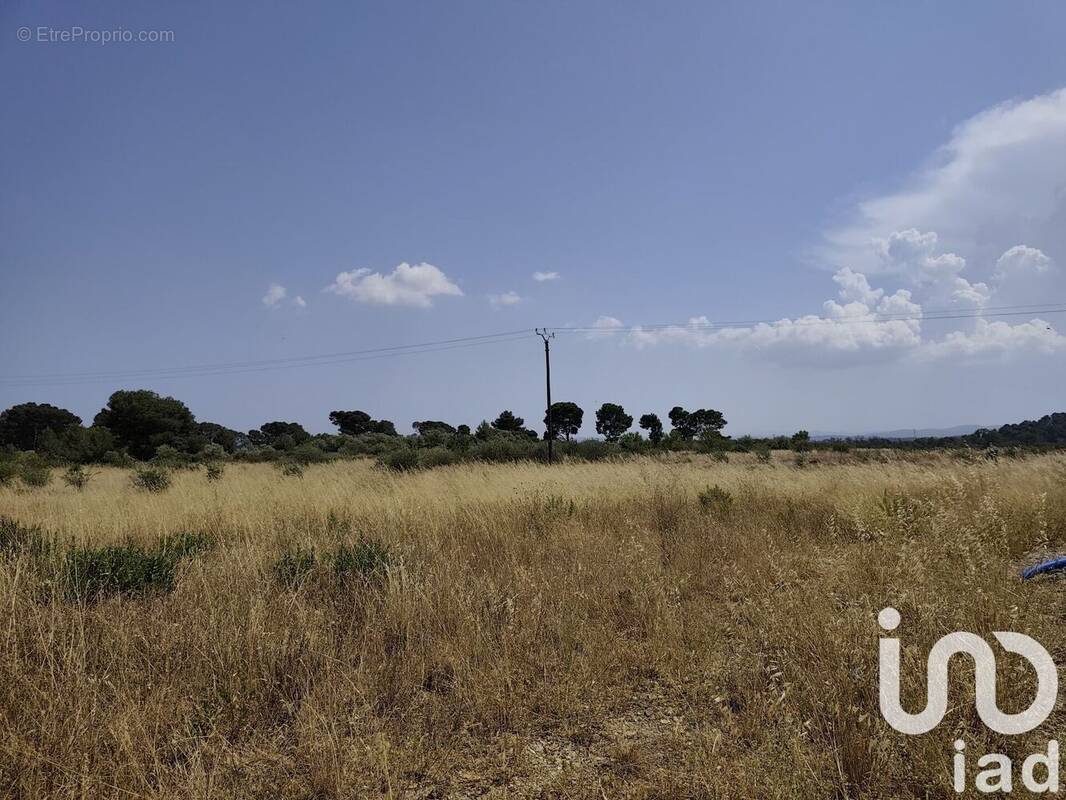 Photo 1 - Terrain à ROUBIA