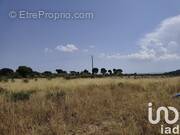 Photo 1 - Terrain à ROUBIA