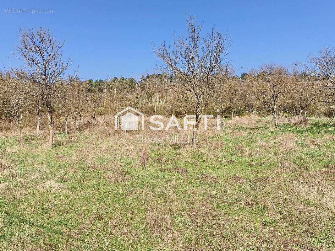 Photo 3 - Terrain à BAINVILLE-SUR-MADON