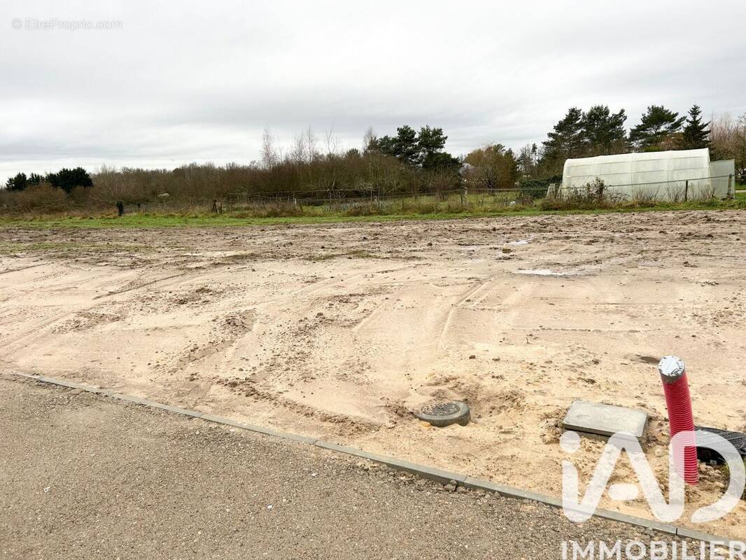 Photo 1 - Terrain à PRUNIERS-EN-SOLOGNE