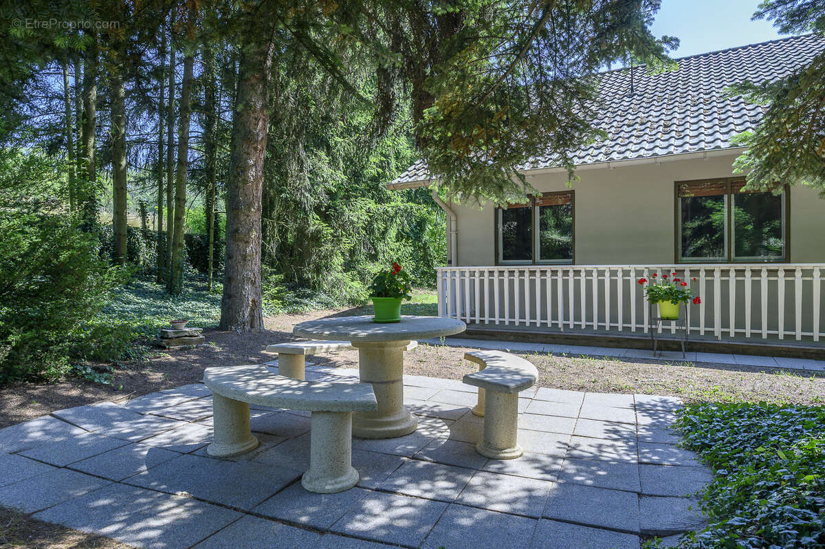 Propriété d'exception sur les hauteurs de Morschwiller (67350) 140 m2 habitables sur 41,77 ares de terrain - photo 17