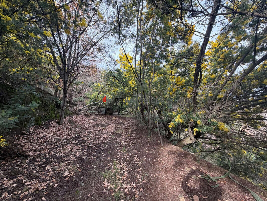 Terrain à CERET