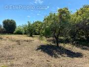 Terrain à CANNES
