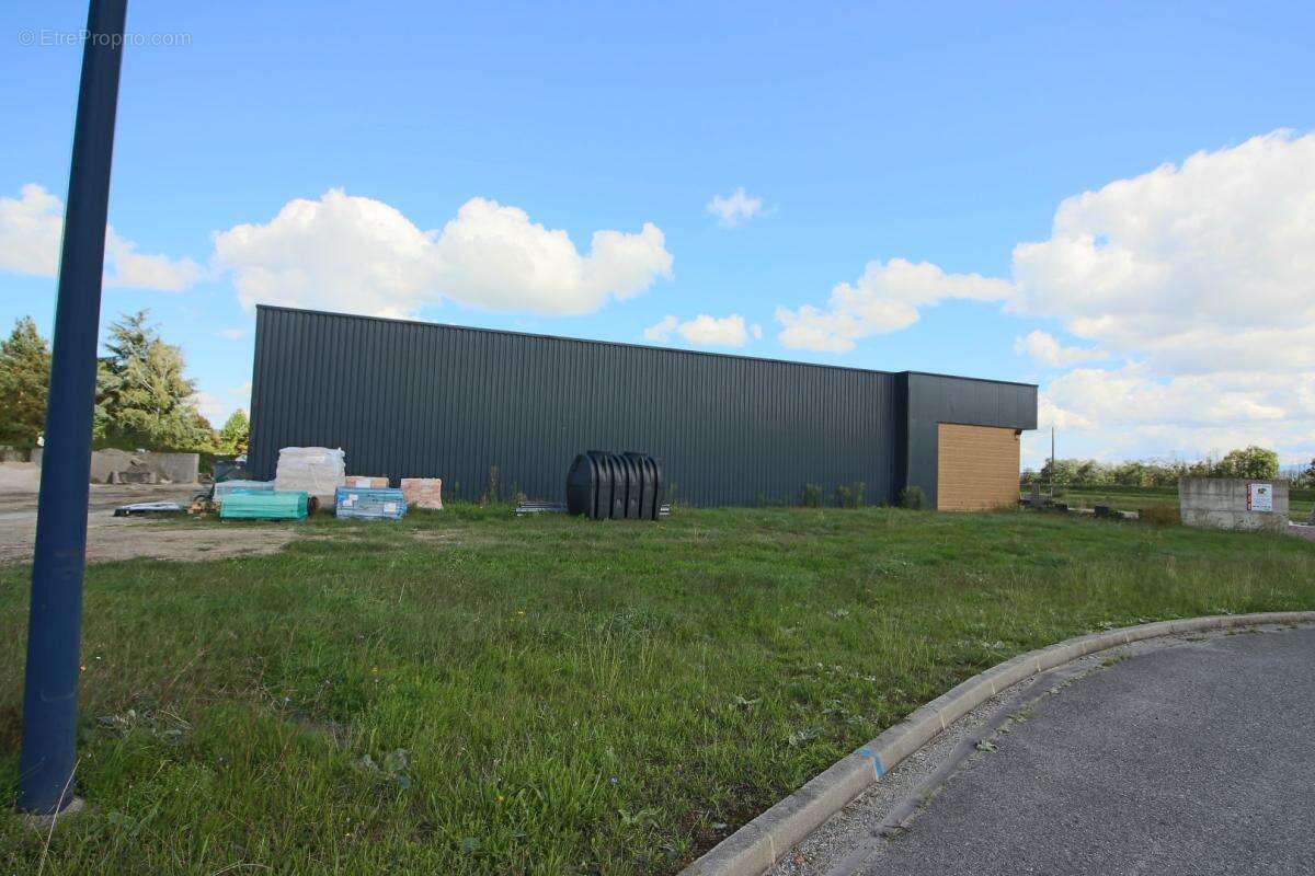 Commerce à MONTREJEAU